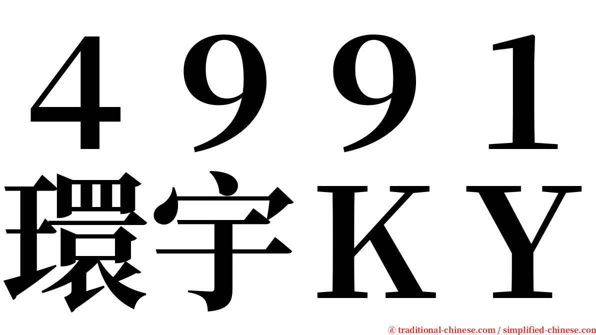 ４９９１環宇ＫＹ serif font