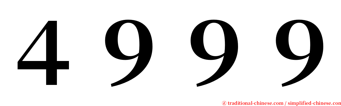 ４９９９ serif font