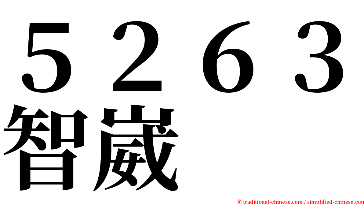 ５２６３智崴 serif font