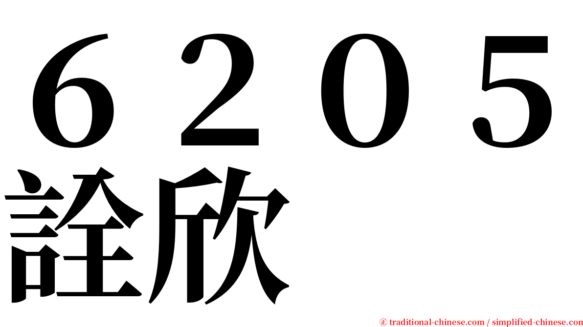 ６２０５詮欣 serif font