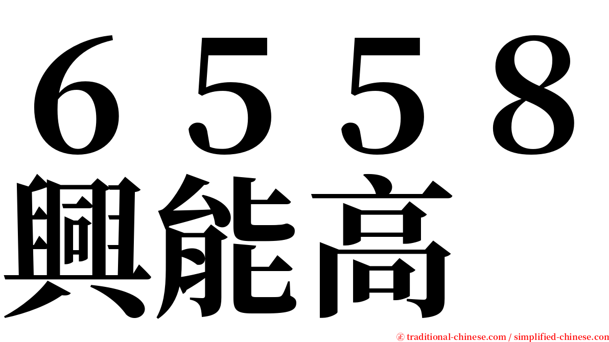 ６５５８興能高 serif font