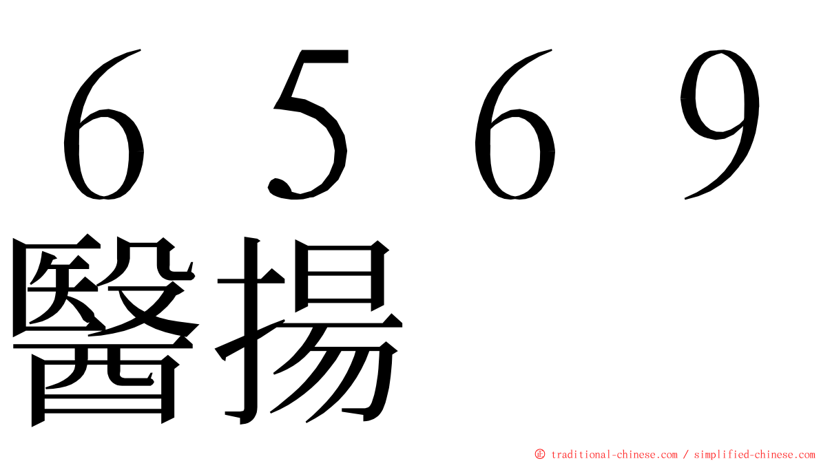 ６５６９醫揚 ming font