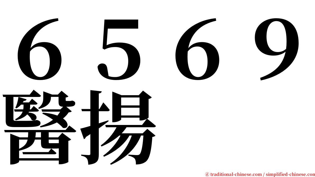 ６５６９醫揚 serif font