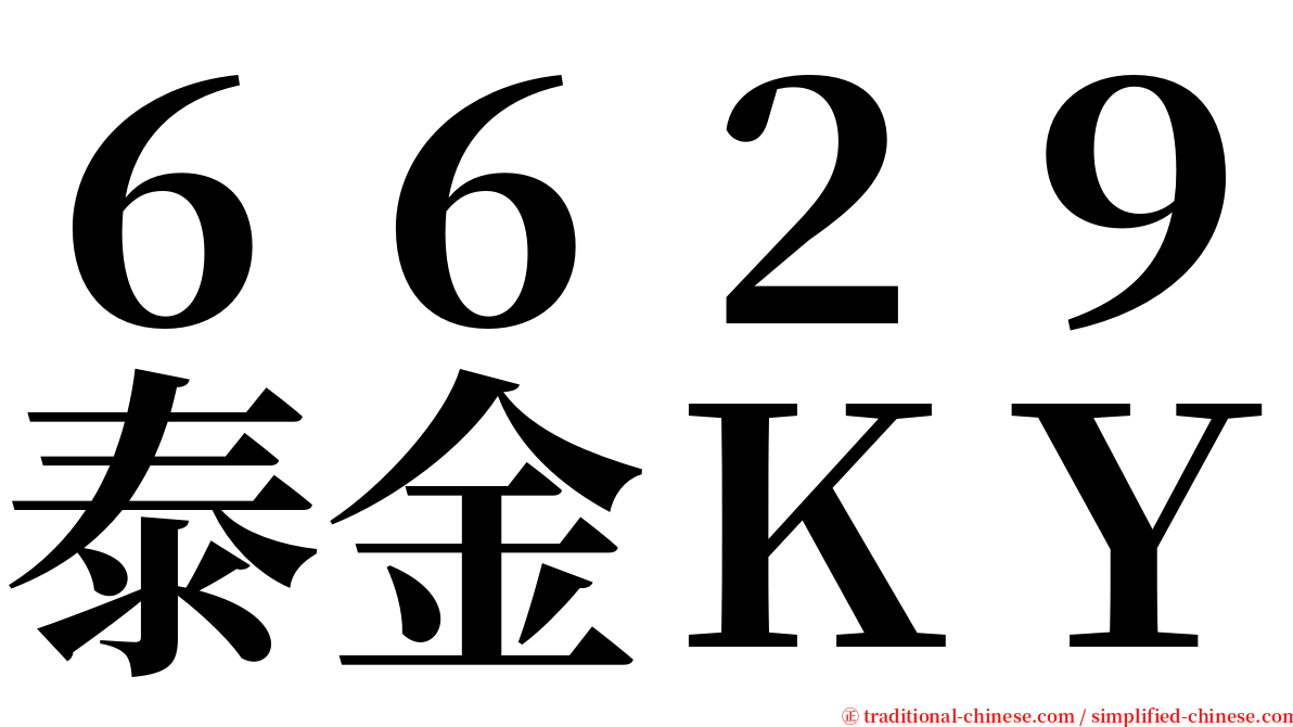 ６６２９泰金ＫＹ serif font