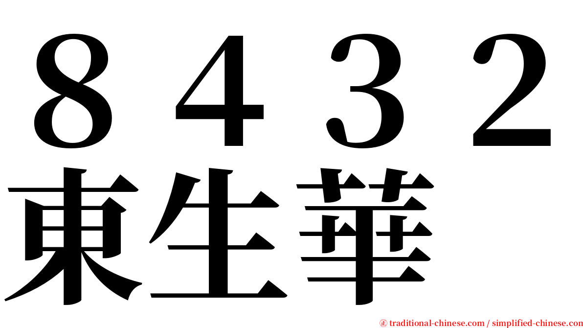 ８４３２東生華 serif font