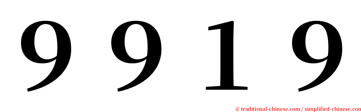 ９９１９ serif font