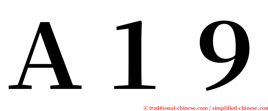 Ａ１９ serif font