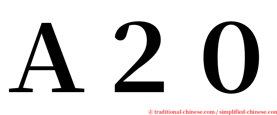 Ａ２０ serif font
