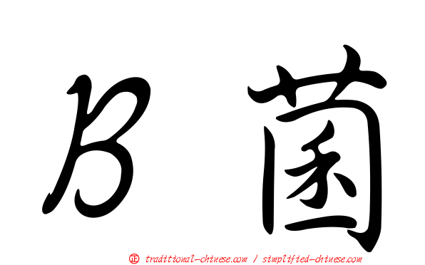 Ｂ菌