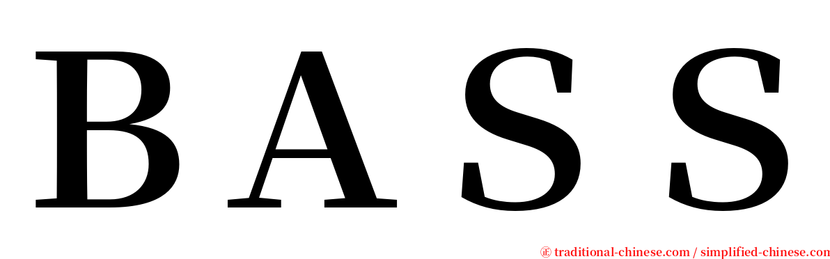 ＢＡＳＳ serif font