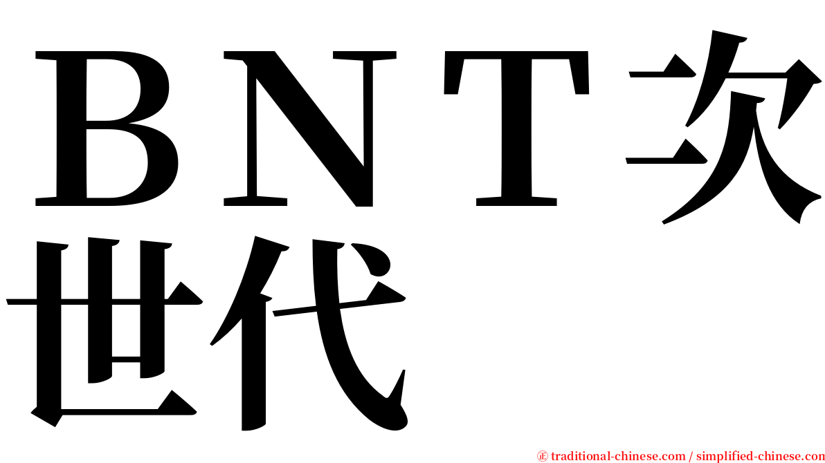 ＢＮＴ次世代 serif font