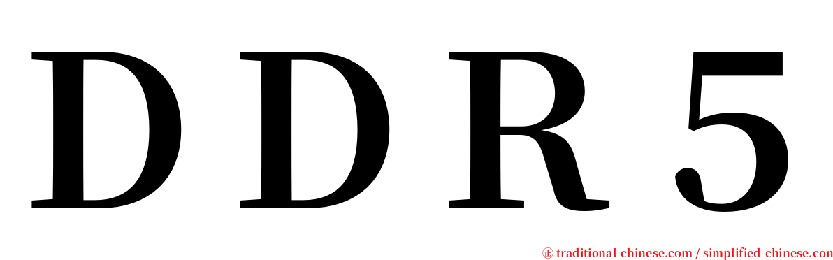 ＤＤＲ５ serif font