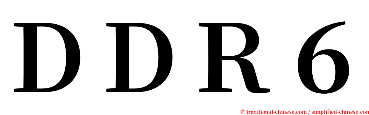 ＤＤＲ６ serif font