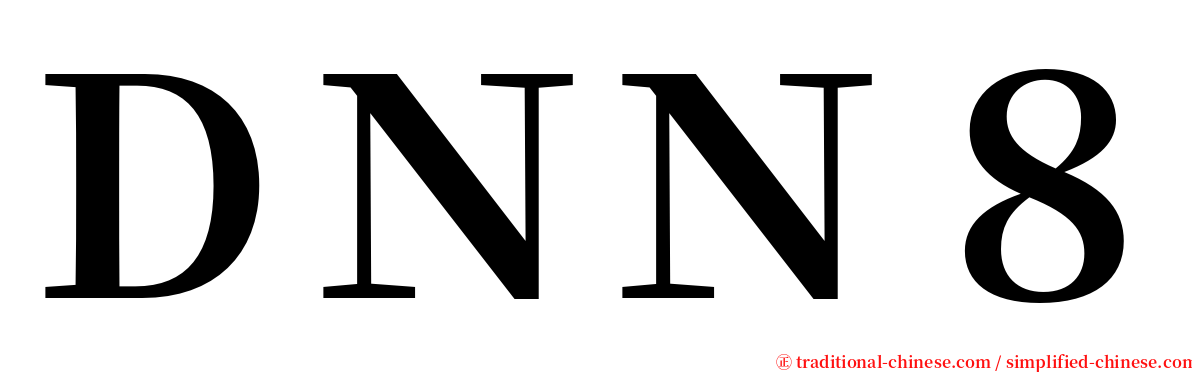 ＤＮＮ８ serif font