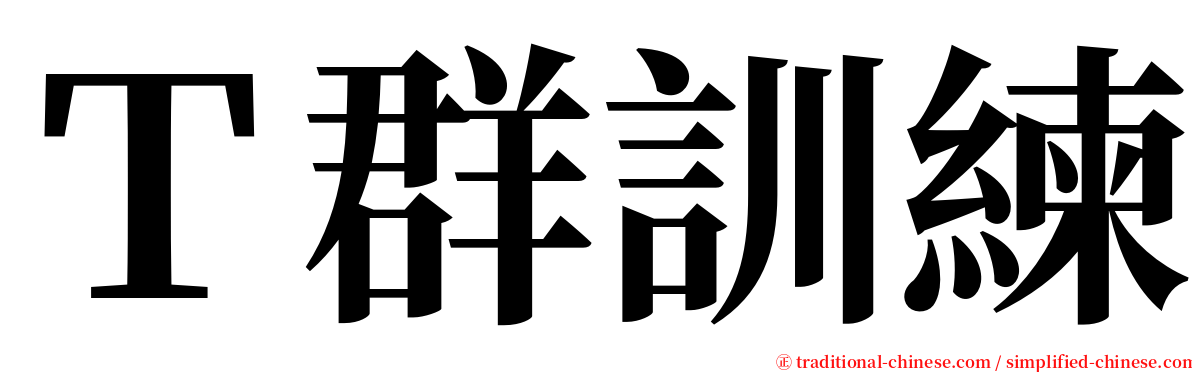 Ｔ群訓練 serif font