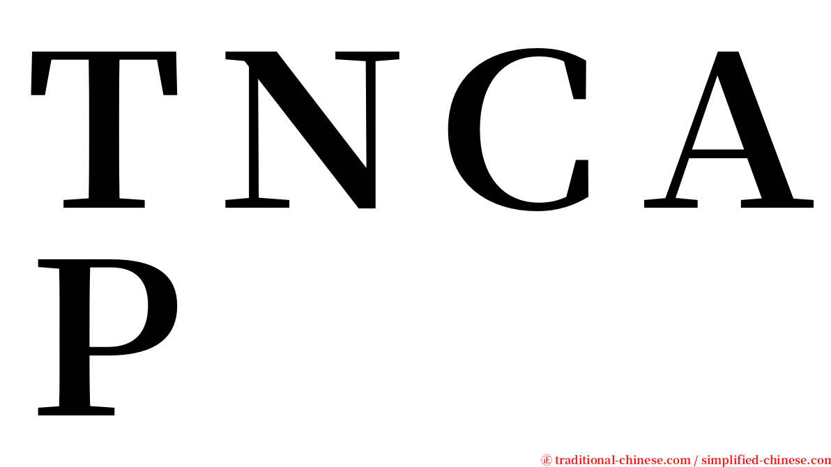 ＴＮＣＡＰ serif font