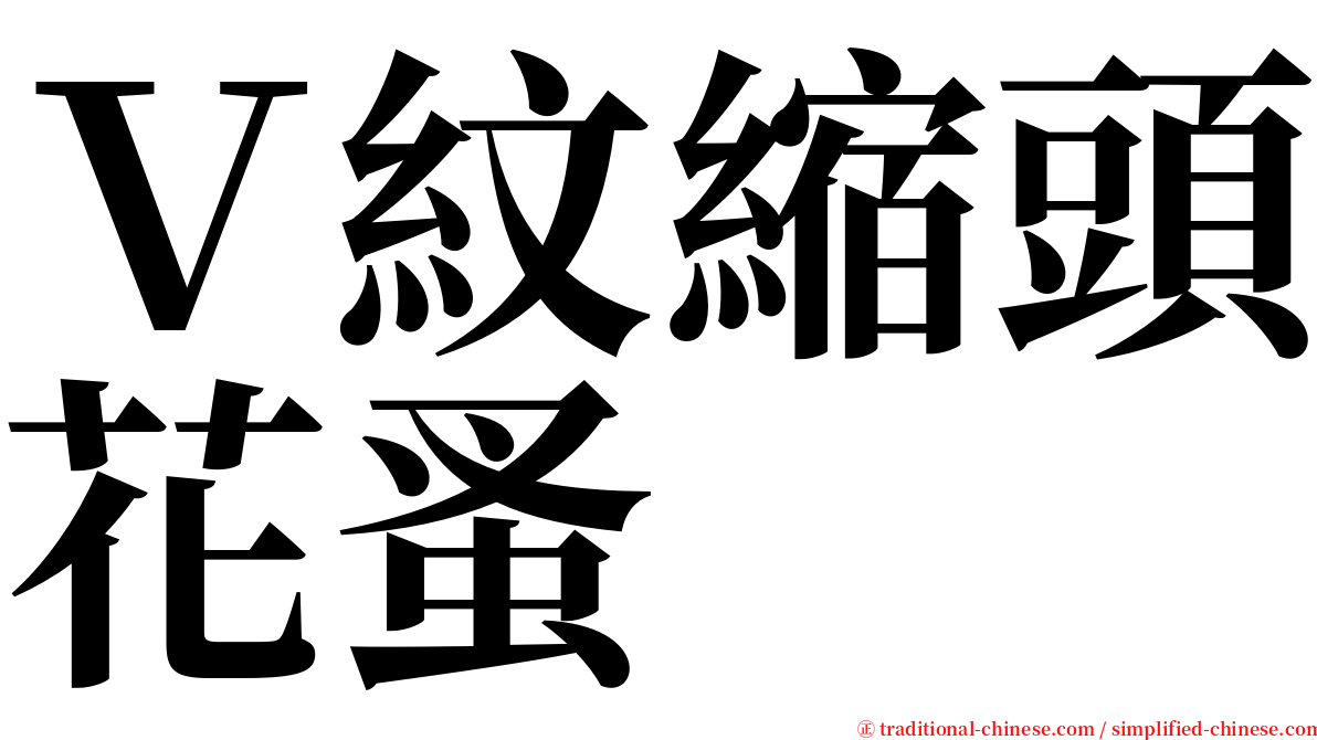 Ｖ紋縮頭花蚤 serif font